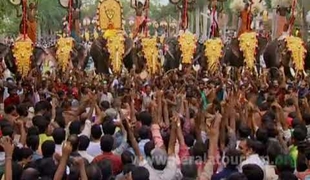 Thrissur Pooram Festival